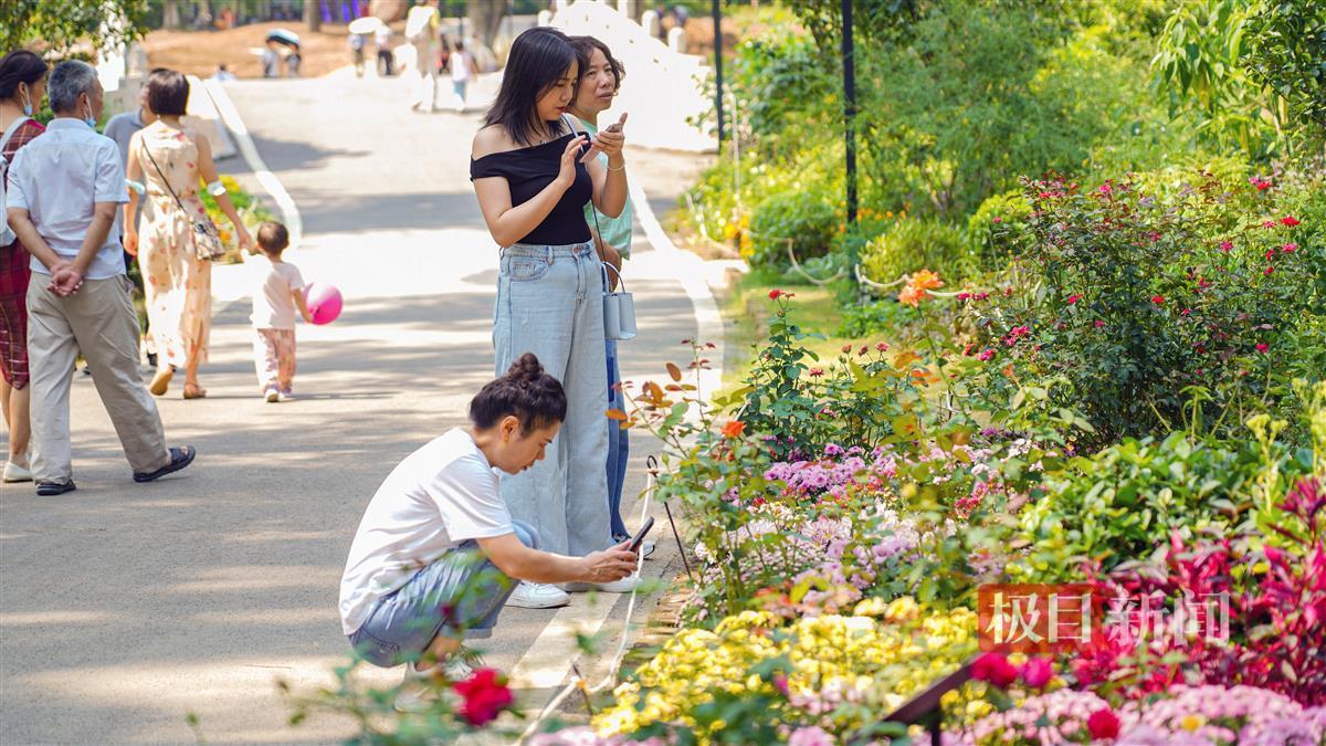 东森游戏平台